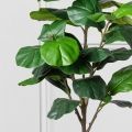 150/К/499(FixK) Фикус Лирата искусственный h150см
