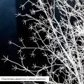300Разб/1766-1(Promo) Дерево искусственное разборное заснеженное со снегирями h300см, на основани