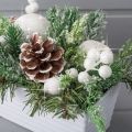 КНг52 Композиция НГ белоснеж. h20см в балконном кашпо 20*9*h8см