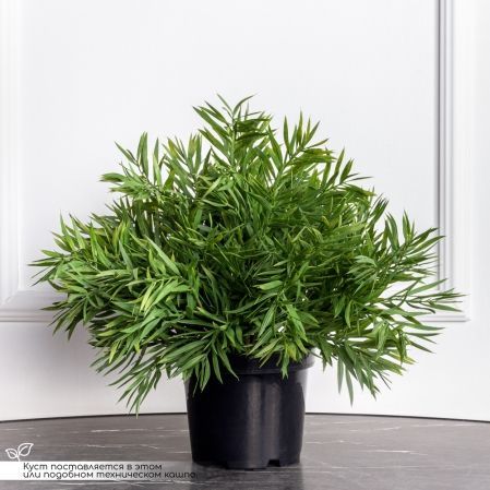 045/К/512(з)(Пр)(F) Погонатерум искусственный куст h45см