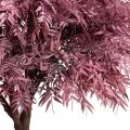 100/РН/505(з) Дерево искусственное интерьерное h100см на основании, пепельно-розовое