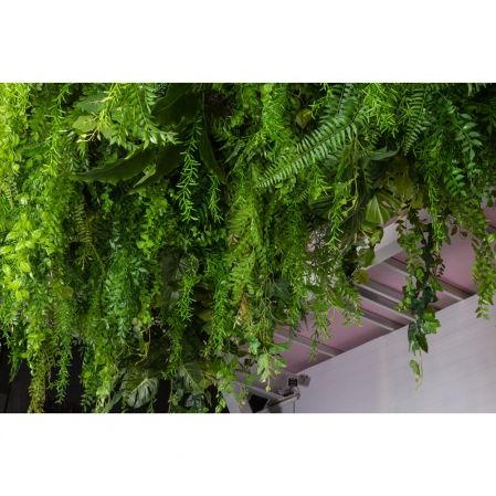 КЗ/49(з)(F) Композиция искусственная с ампельными растениями 435х120см на сетке