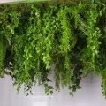 КЗ/49(з)(F) Композиция искусственная с ампельными растениями 435х120см на сетке