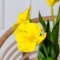 7141А/0443-02/3Р(АКЦИЯ) Тюльпан распустившийся искусственный d8см, h50см, желтый