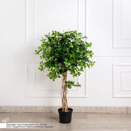 120/РН/84-1(з)(Пр) Шеффлера искусственная h120см
