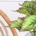 7143/0901-01/1(F) Бегония искусственная куст 12 листов h37см (32+5) салатовая