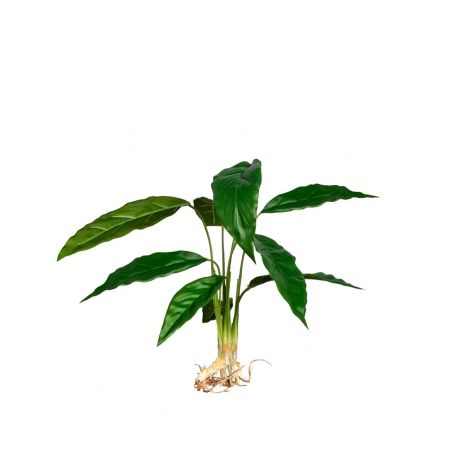 7143/0033-16 Калатея искусственная куст малый с корнями 9 листов h47см, зеленый