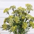 7141А/0443-04/3Р(F) Ветка цветущая искусственная 5 соцветий, h53см, желтая