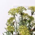 7141А/0443-04/3Р(F) Ветка цветущая искусственная 5 соцветий, h53см, желтая