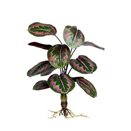 7143/0471-4 Калатея искусственная куст с корнями 12 листов h57см, зелено-фиолетовая