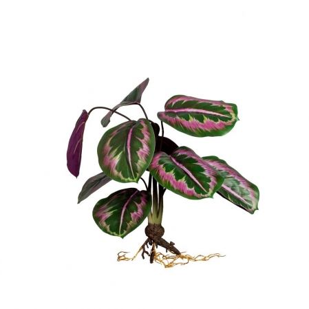 7143/0471-3 Калатея искусственная куст с корнями 9 листов h47см, зелено-фиолетовая