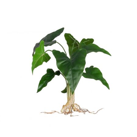 7143/0033-15 Алоказия искусственная куст малый с корнями 9 листов h40см, зеленый