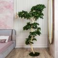 БЛ230/ДА/516(Пр)(F) Бонсай искусственный Фикус Микрокарпа h230см (латекс) на основании