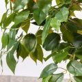 085/ОС/38(з)(F) Яблоня искусственная с мини плодами h85см, d50см