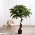 195/ОС/310(Пр)(F) Лиственница искусственная h195см