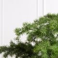 195/ОС/310(Пр)(F) Лиственница искусственная h195см
