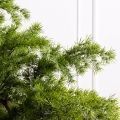195/ОС/310(Пр)(F) Лиственница искусственная h195см