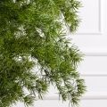 150/Я2/ОС/КОР/310(з)(Пр)(F) Лиственница искусственная h150см