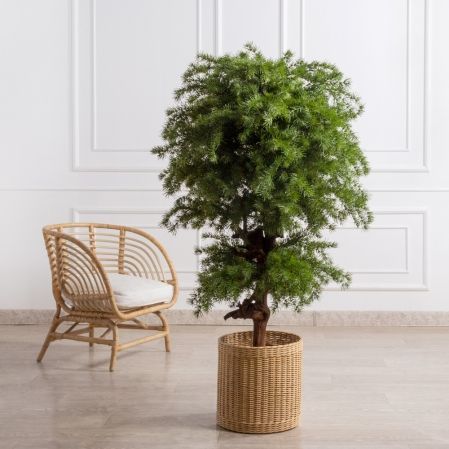 150/Я2/ОС/КОР/310(з)(Пр)(F) Лиственница искусственная h150см
