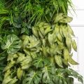 ФТС168(Пр)(F) Фитостена на сетке, за 1кв.м