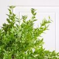 250/ОС/522(з)(Пр)(F) Дерен искусственный h250см, d220см, на основании 60*35см (латекс)