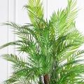 ПК200/5С/359(з)(Пр)(F) Пальма кустовая h200см