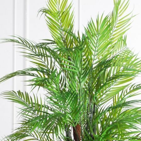 ПК200/5С/359(з)(Пр)(F) Пальма кустовая h200см