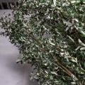 420/РН/465(з)(Пр)(F) Оливковое дерево искусственное h420см