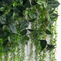 Л143-1(з)(Пр)(F) Лиана  искусственная со сциндапсусом  L100см, свес 80-150см