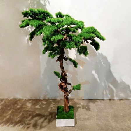 БС150/ОС/30-8(з)(Пр) Бонсай искусственный Сосна h150см в деревянном ящике 25х25х12см