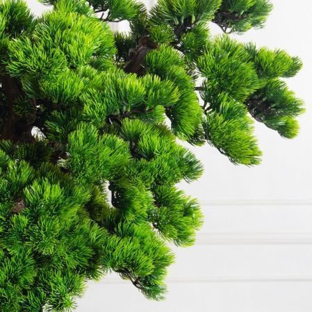 БС150/ОС/30-8(з)(Пр)(F) Бонсай искусственный Сосна h150см в деревянном ящике 25х25х12см БС150/ОС/30-8(з)(Пр)(F) Бонсай искусственный Сосна h150см в деревянном ящике 25х25х12см