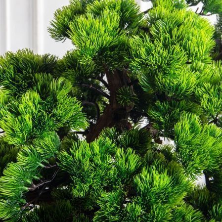 БС150/ОС/30-8(з)(Пр)(F) Бонсай искусственный Сосна h150см в деревянном ящике 25х25х12см БС150/ОС/30-8(з)(Пр)(F) Бонсай искусственный Сосна h150см в деревянном ящике 25х25х12см