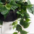 ККВ24/120(з)(Пр)(F) Коковита искусственная с плющом сциндапсус  d20см, латекс