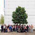 570ГБ/Разб/П/424(з)(Пр) Гранат искусственное дерево с плодами разборное h570см