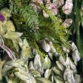 ФТС174(Пр)(F) Фитостена на сетке,  за 1кв.м