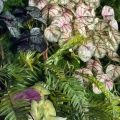ФТС174(Пр)(F) Фитостена на сетке,  за 1кв.м