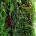 ФТС171(Пр)(F) Фитостена, за 1кв.м