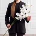 7141А/0108-02/23(F) Орхидея искусственная h80см 7 голов (латекс), белая