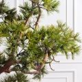 200/СН/ВЕТ/539(з)(F) Ветвь сосны искусственная h200см, d120см  на основании, пристенная
