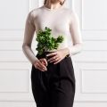 7143/0381-11/9Т(F) Крассула искусственная (толстянка) куст 5 частей h33см, темно-зеленый