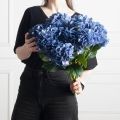7142/А2785-125(F) Гортензия искусственная ветка h47см(нога 11см) голова d14см, синяя
