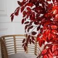 170/РН/17М(з)(Пр)(F) Фикус искусственный с покрасом RAL3020. h170см d90см, латекс