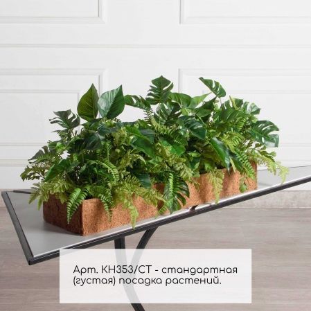 КН353/СТ(F) Композиция зеленый микс с папоротником и монстерой в кокосовом боксе 75*20*10
