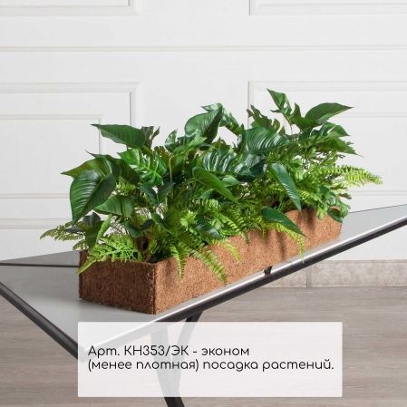 КН353/ЭК(F) Композиция зеленый микс с папоротником и монстерой в кокосовом боксе 75*20*10