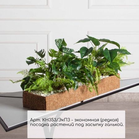 КН353/ЭкПЗ(F) Композиция зеленый микс с папоротником и монстерой в кокосовом боксе 75*20*10