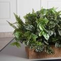 КН377/СТ(F) Композиция искусственная зеленый микс с Аукубой (латекс) в кокосовом боксе 75х20х10см