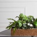 КН377/ЭкПЗ(F) Композиция искусственная зеленый микс с Аукубой (латекс) в кокосовом боксе 75х20х10см