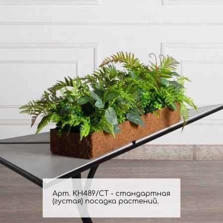КН489/СТ(Пр)(F) Композиция искусственная микс папоротник с фиттонией в кокосовом боксе 75х20х10см