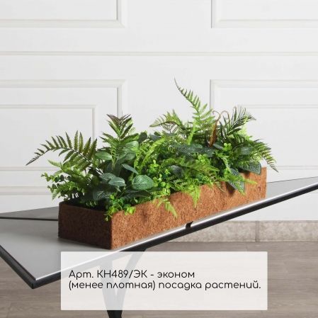 КН489/ЭК(Пр)(F) Композиция искусственная микс папоротник с фиттонией в кокосовом боксе 75х20х10см