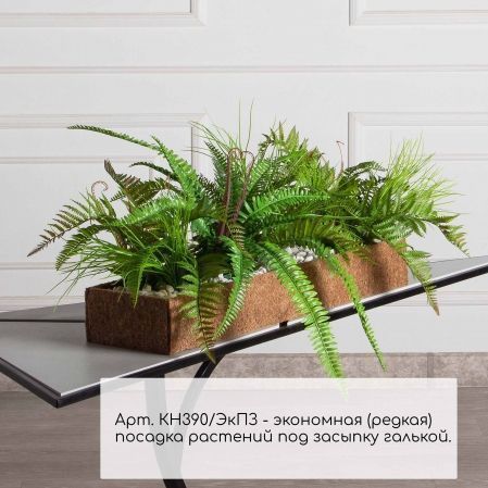 КН390/ЭкПЗ(Пр)(F) Композиция искусственная папоротники микс с травой в кокосовом боксе 75х20х10см